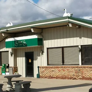 Swan's on the roof?? Sure! Why not?