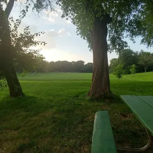 Picnic tables and softball field