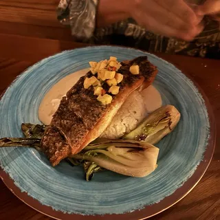 Barramundi