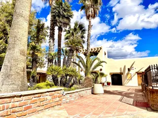 Yoga Oasis
