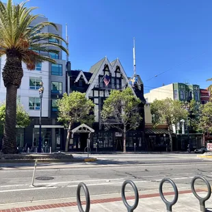 a row of palm trees on a city street