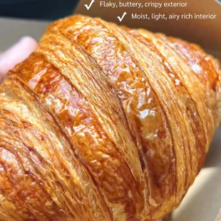 Butter Croissant
