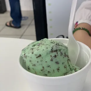 Mint chocolate chip