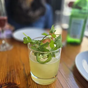OAXACA
