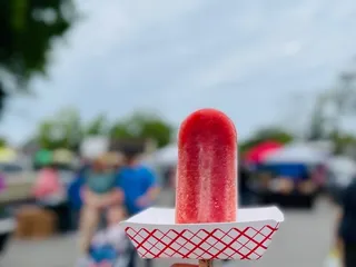 Joysicles Gourmet Pops