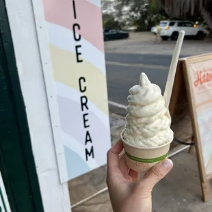 Dairy free coconut with mango and lilikoi