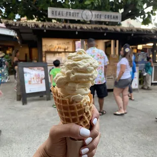 Vanilla with Pineapple Bits