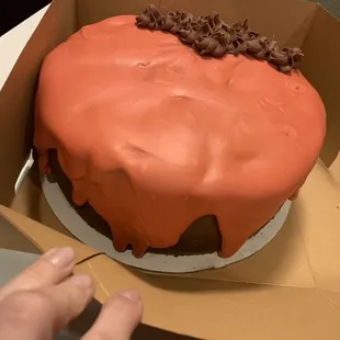 I ordered a red cake with roses for my daughter's birthday and got terrible pink something. It's $65 Disaster.
