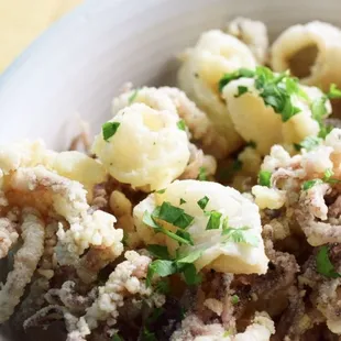 Fried Calamari