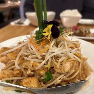 Chicken Pad Thai Vegetable &amp; Tofu
