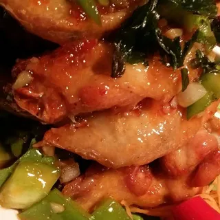 Wings of Love
