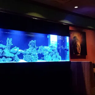 Calming, elegant decor