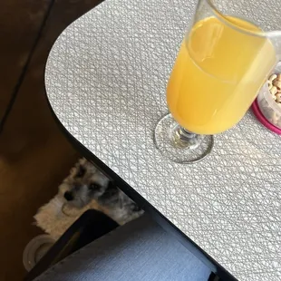 My adorable doggo and a yummy mimosa!