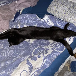 Stretchy Mc streach!!!