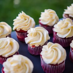 red velvet cupcakes with white frosting