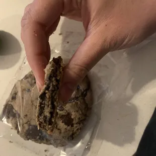 a chocolate chip cookie