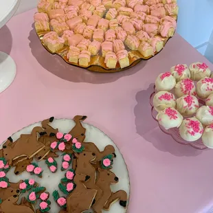 Deer shaped sugar cookies, vanilla petit fours and lemon cake balls at the Eli Halpin Gallery opening.