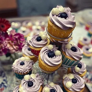 Blueberry Cupcakes