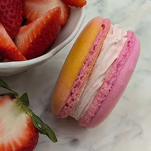 Strawberry Macaron