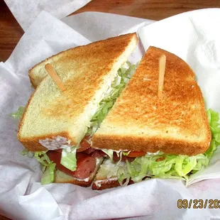 Turkey on Toast Sandwich