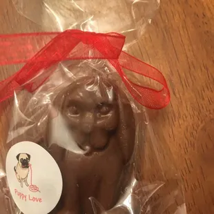 a chocolate dog in a bag