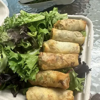 Vegetarian Spring Roll