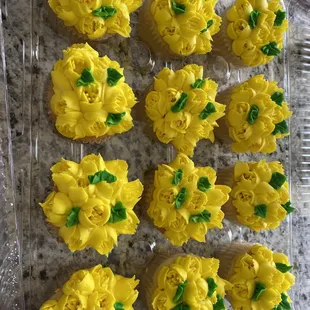 yellow cupcakes