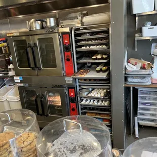 Fresh out of the oven