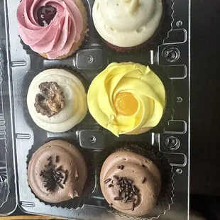 Delicious Cupcakes Chocolate, lemon, carrot cake,red velvet and snickerdoodle