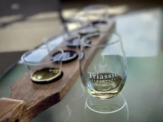 Triassic Vineyards