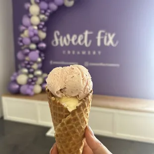 a hand holding a cone of ice cream