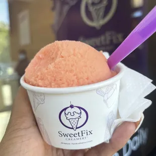Passionfruit Italian Ice-Dairy Free