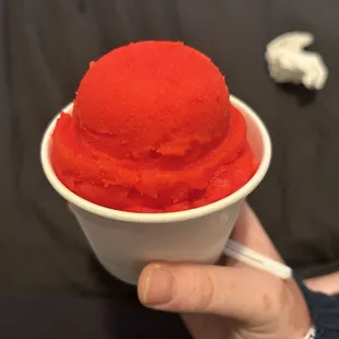 Best Italian Ice