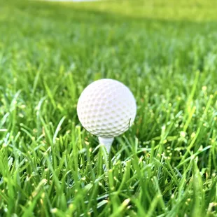 Golf ball themed cake balls