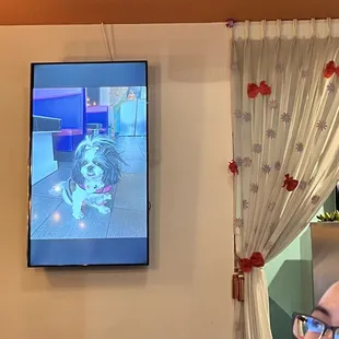 Cute decoration of dog named fashion that recently passed :(