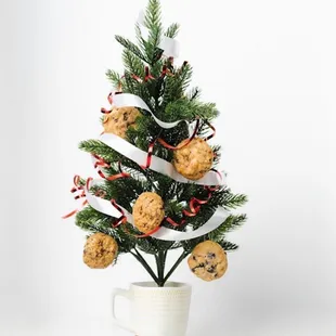 a christmas tree in a cup