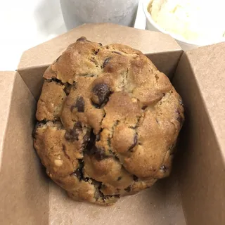 Chocolate Chip Walnut Cookie