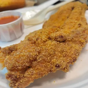 Catfish