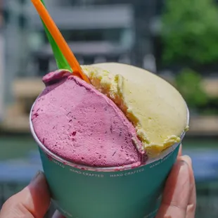 Blackberry &amp; Mango Gelato