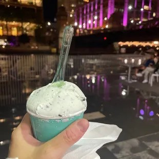 Mint chocolate chip
