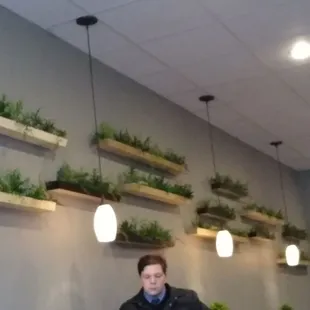 And you can never go wrong with plants.