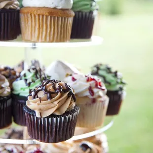 a display of cupcakes