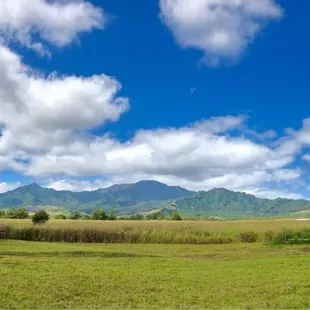 The view of the Wai'anae mountain range from the covered picnic benches.