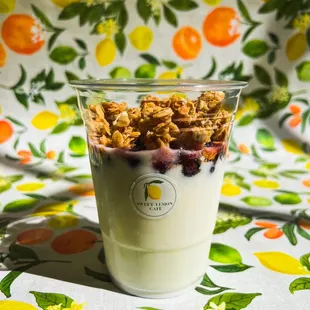 Homemade yogurt with granola and blueberry