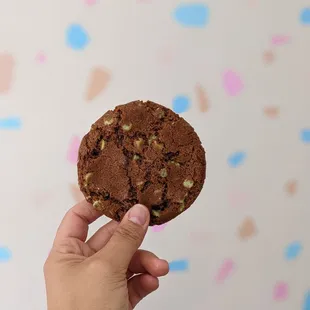 a hand holding a chocolate cookie