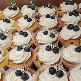 Lemon Blueberry (buttercream color optional)