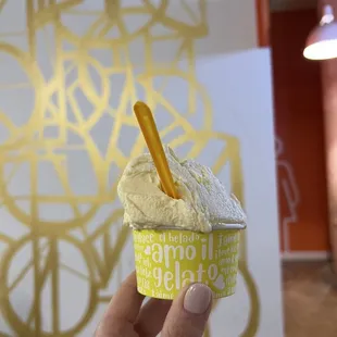 This was a small gelato. Generously-sized portions!