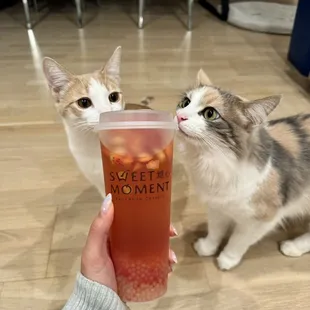 Strawberry Passion Tea with sago