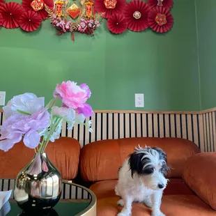 Sweet Mood Grand Opening Promotion