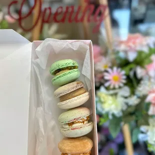 Macarons: pistachio, coffee, coconut, and coffee coconut.